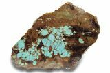 Polished Turquoise Slab - Number Mine, Carlin, NV #248342-1